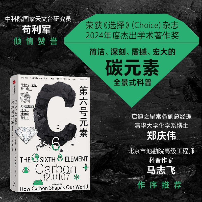 第六号元素 西奥多 P  斯诺等 著 简洁 深刻 震撼 宏大的碳元素全景式科普 Choice2024年度杰出学术著作 中信出版社