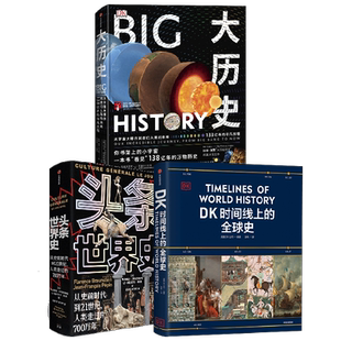 大历史+头条世界史+DK时间线上的全球史（套装3册）中信出版社图书 正版