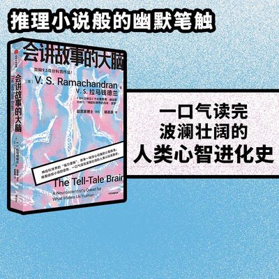 会讲故事的大脑中信出版