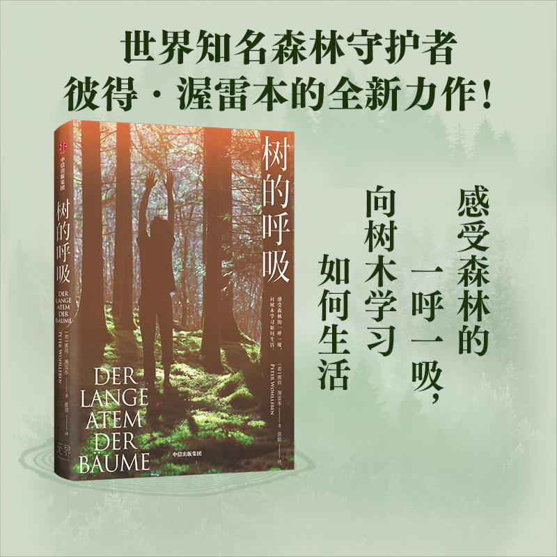 树的呼吸彼得渥雷本中信出版