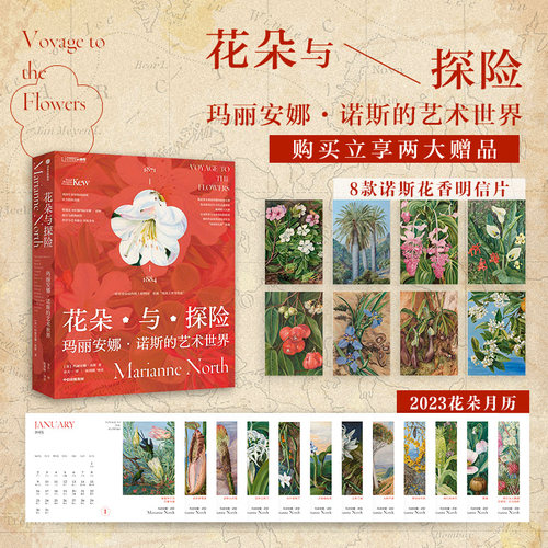花朵与探险玛丽安娜诺斯中信出版