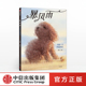 暴风雨 书籍 正版 温情故事 6岁 耐心善良信任 著 郭婧 社图书 中国原创童书 中信出版 独生小孩作者新作