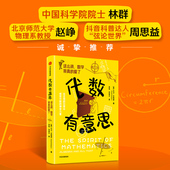 爱了 大卫艾奇逊著 中信出版 代数有意思 正版 数学我真 社图书 这么讲