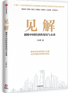 见解 丁安华著 吴晓灵 秦晓 姚洋 巴曙松 高善文 王晏蓉 联袂推荐 聚焦宏观政策重大议题 见证中国经济转型与变迁 中信正版
