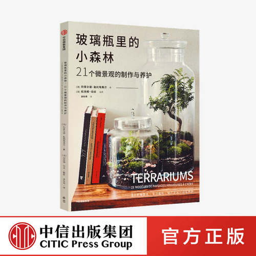 微缩于方寸之间的小小森林