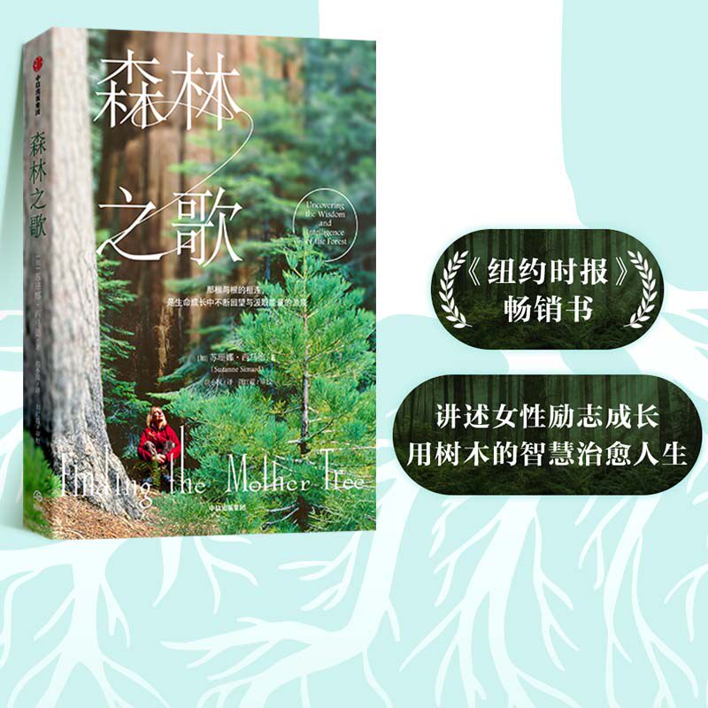 森林之歌用树木的智慧疗愈人生