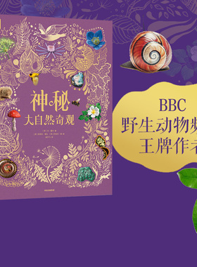 【4岁+】DK神秘大自然奇观  本·霍尔 著 BBC野生动物频道王牌作者 超丰富珍品实景照片 故事性科普 精美典藏 中信出版图书正版