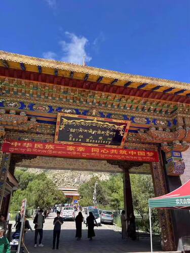 藏区小鲁茸甄选   色拉寺九味 防薰香丸