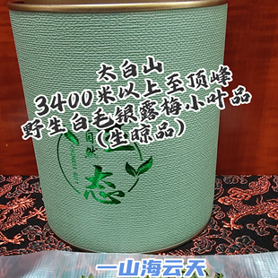 秦岭太白山3400米以上至顶峰药王观音茶婆野生白毛银露梅生晾花少