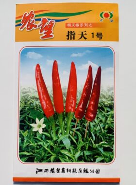 农望指天1号朝天椒种子小米椒种子中晚熟单生朝天椒小米辣七星椒