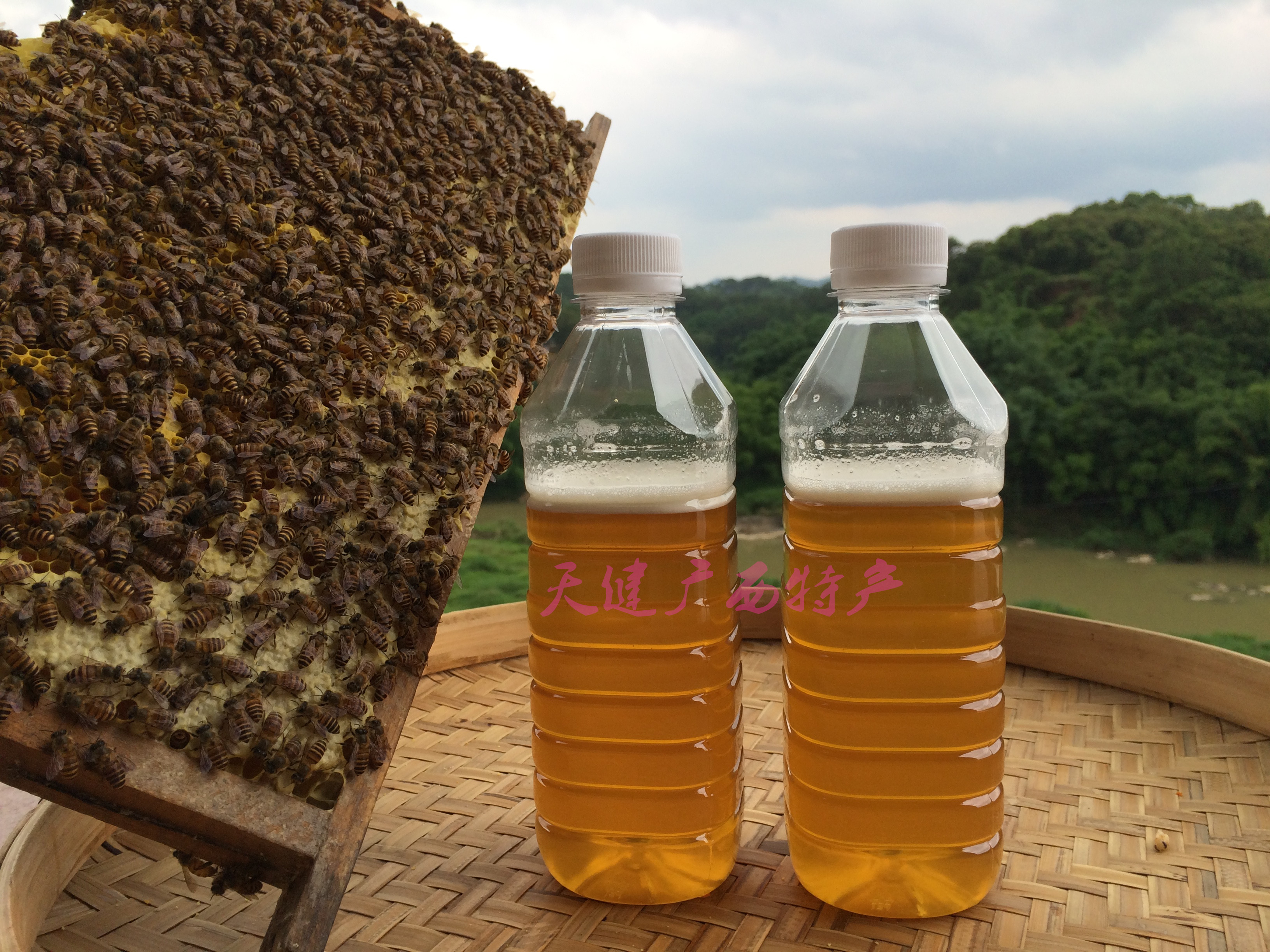百花蜜 纯天然蜂蜜 农家自产自销土蜂蜜 正宗2019深山野生山花蜜