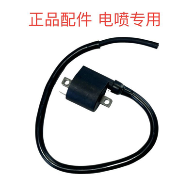 龙嘉LJ300 VMAXie300维多利亚150 XDV250si高压包点火线线圈 正品