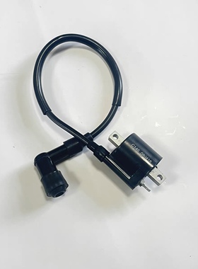 适用建设雅马哈JYM110 F8/JS110-B/J/9E/9C/3H 110点火线圈高压包