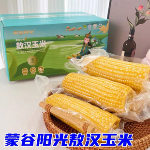 蒙谷阳光黄金小粒敖汉玉米内蒙古香糯玉米大苞米甜糯玉米棒鲜玉米