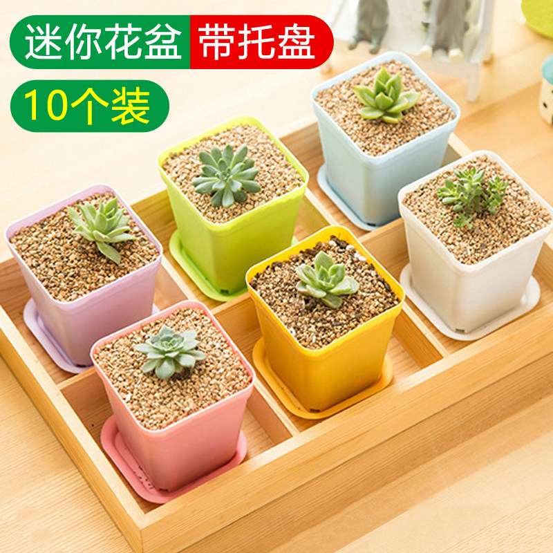 多肉小花盆套装组合透气带孔创意塑料小号方形育苗迷你带托盘方盆