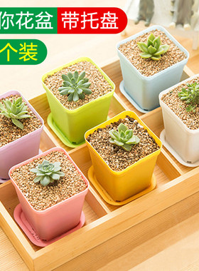 多肉小花盆迷你带托盘方盆