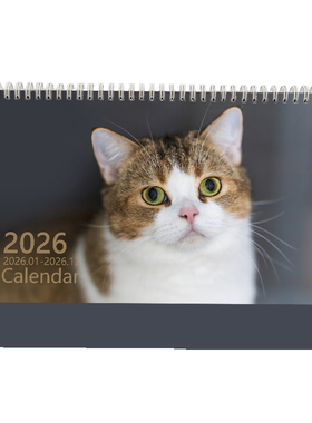2026年猫台历 桌面记事日历 大格子日程本 吉胜猫 香港公众假期