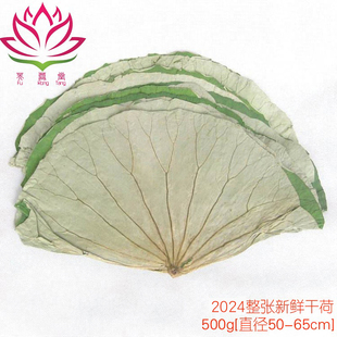 新鲜干荷叶2024年整张荷叶叫花鸡 荷叶鸡专用荷叶整张藕叶茶500g