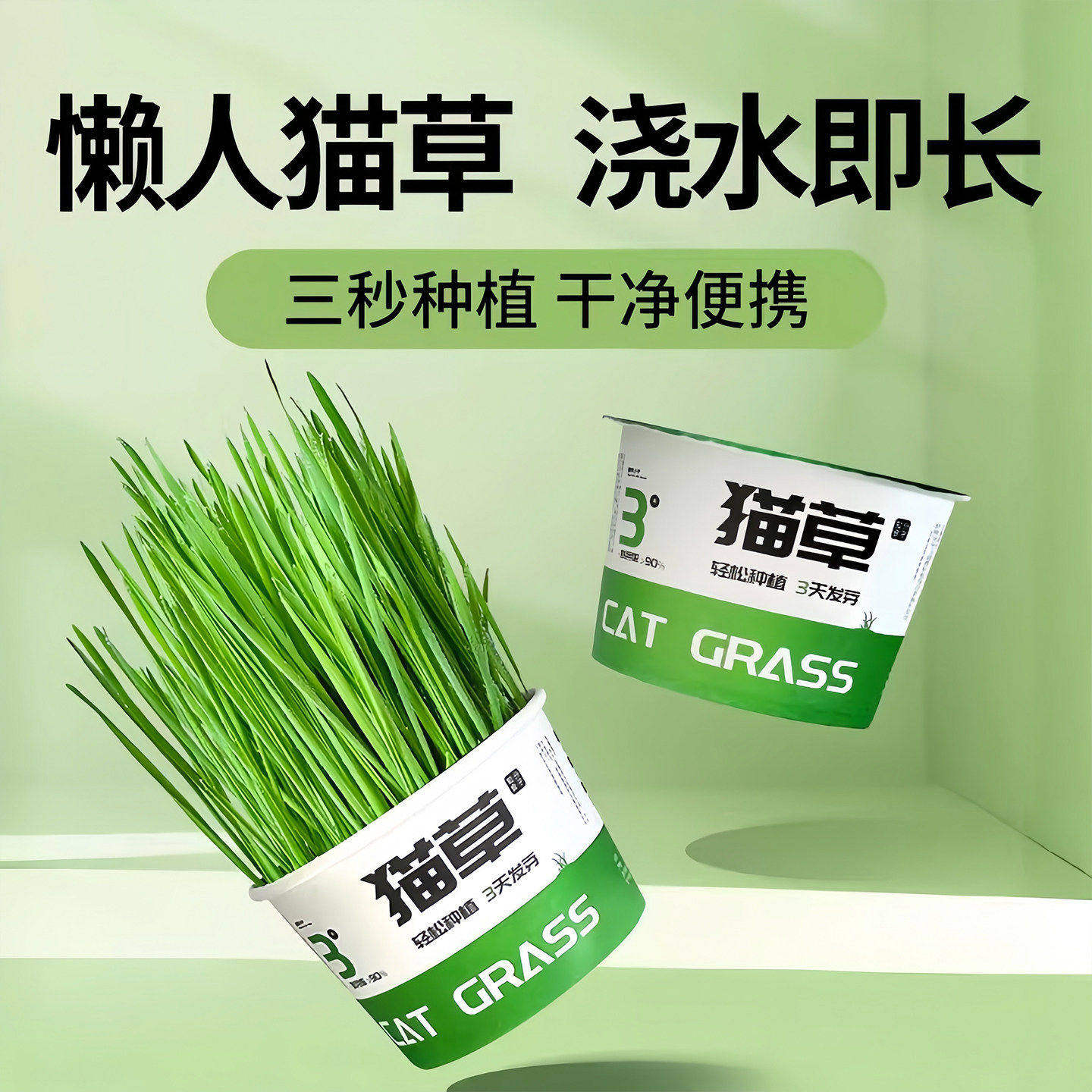 懒人泡面猫草盆栽种子猫