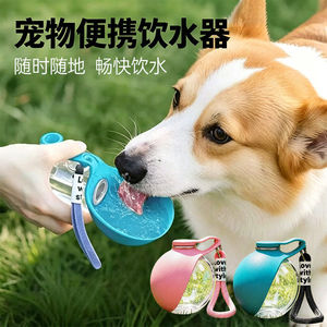 透明饮水壶可携式狗狗外