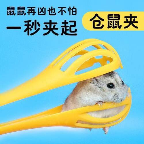 仓鼠夹捕抓老子金丝熊生