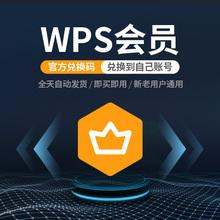 会元/超级会员卡全文翻译pdf wps1