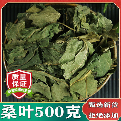 中药材野生新货桑叶500克包邮
