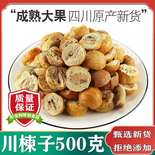 中药材野生四川川楝子500克包邮