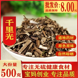中药材 千里光 野生 草药 足浴 九里明 九里光 黄花母 新货 500g