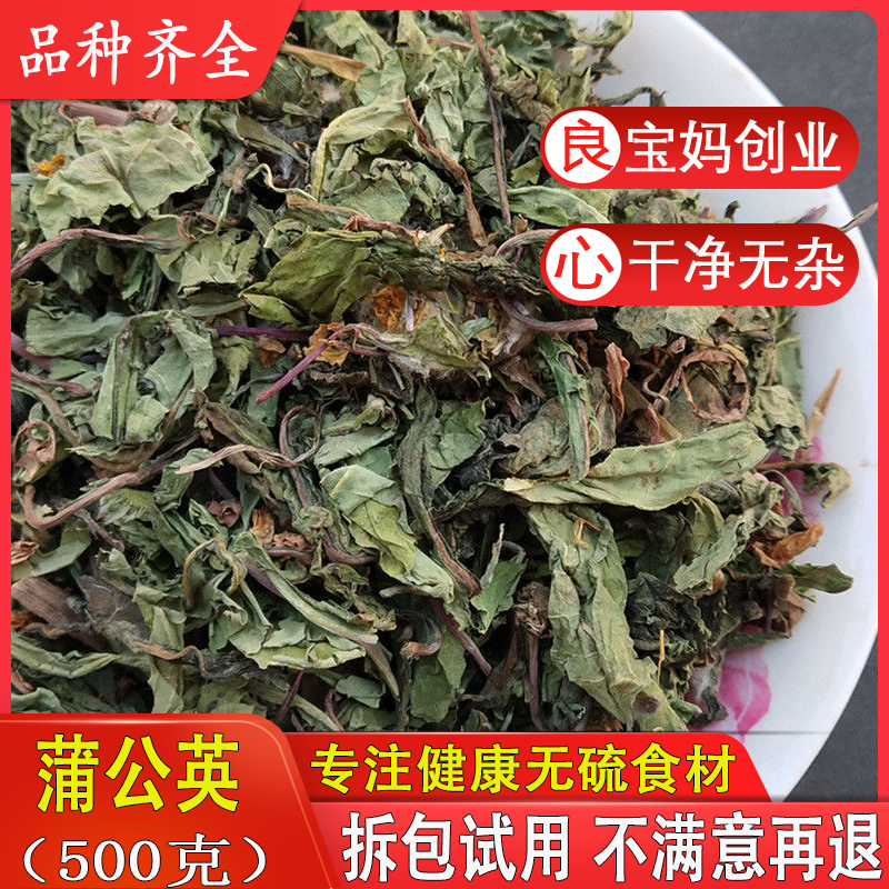 中药材特级蒲公英正品