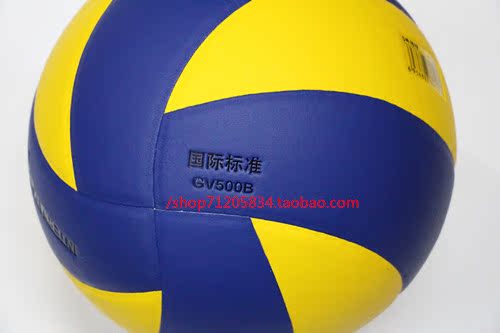Ballon de volley - Ref 2011156 Image 4