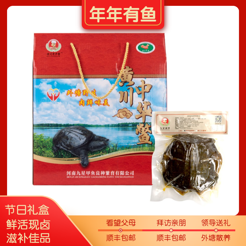 特产礼盒麻辣五香食用卤即食甲鱼老鳖团野鱼水鱼王八鲜活现做包邮