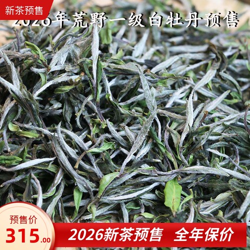 2026年荒野一级白牡丹预售 福鼎白茶白牡丹散茶高山日晒白茶茶叶