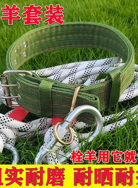 栓羊脖套栓羊绳子羊项圈脖套