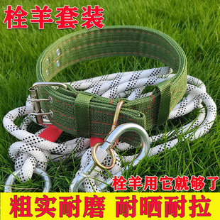 栓羊脖套栓羊绳子羊项圈脖套栓羊绳羊脖圈栓羊专用绳养羊用脖套