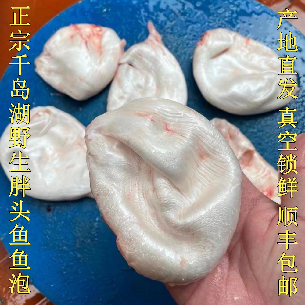 千岛湖胖头鱼鱼泡鱼肚胶原蛋白脂