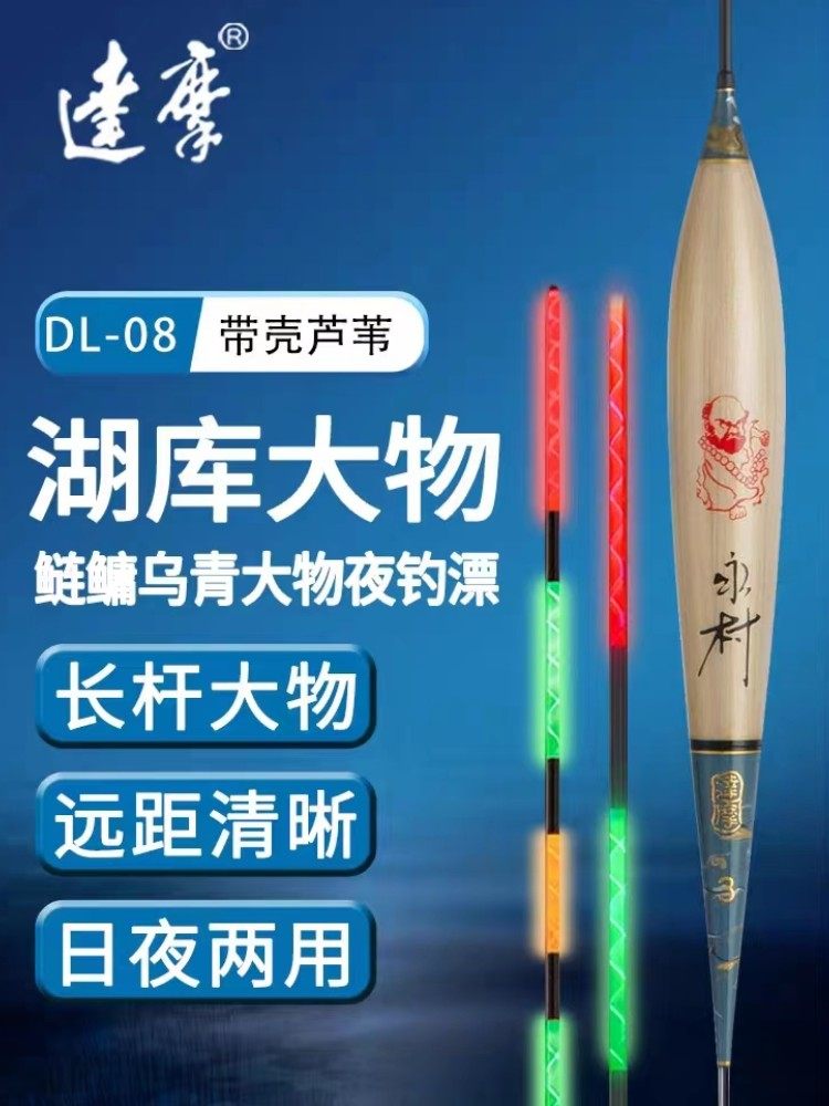 达摩芦苇电子漂大浮力库钓夜光漂