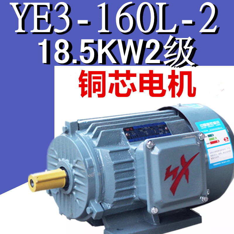 18.5KW2极电机380V卧式B3立式B5