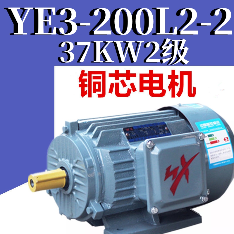 37KW2级电机YE3-200L2-2极三相异步电动机二级千瓦纯铜线马达YX3E