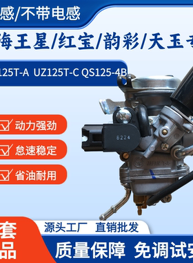 适用豪爵海王星UA125T韵彩QS125T-4B红宝天玉UZ/UM125T瑞梦化油器