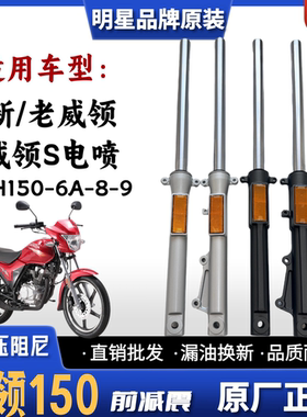 适用五羊本田威领S150摩托车前减震器WH150-6A-8-9新威领150前叉