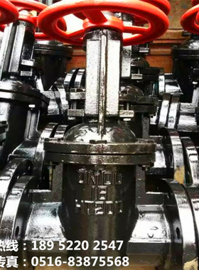 Z41T铸铁HT200明杆法兰闸阀DN50 65 80 100 150 200 300 350 400