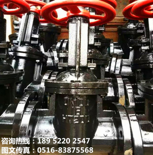 Z41T铸铁HT200明杆法兰闸阀DN50 65 80 100 150 200 300 350 400