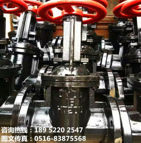 Z41T铸铁HT200明杆法兰闸阀DN50 65 80 100 150 200 300 350 400
