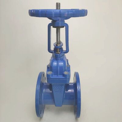 Z41X-16Q明杆软密封法兰闸阀DN150球墨铸铁弹性座消防水阀阀门100