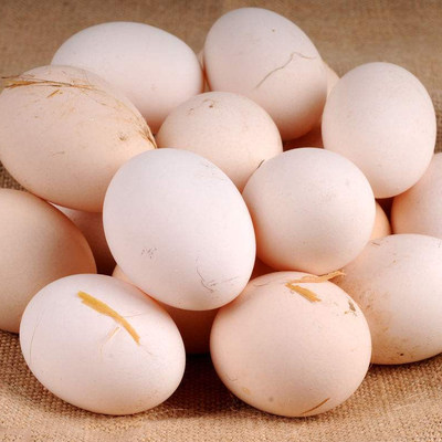 安庆土鸡蛋 农家放养土鸡蛋 新鲜草鸡蛋野外散养柴鸡蛋50枚包邮