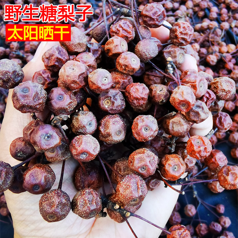 晒干野生小沙梨豆梨棠梨野梨糖梨子山梨鸟梨赤梨克煮泡水泡酒酿酒