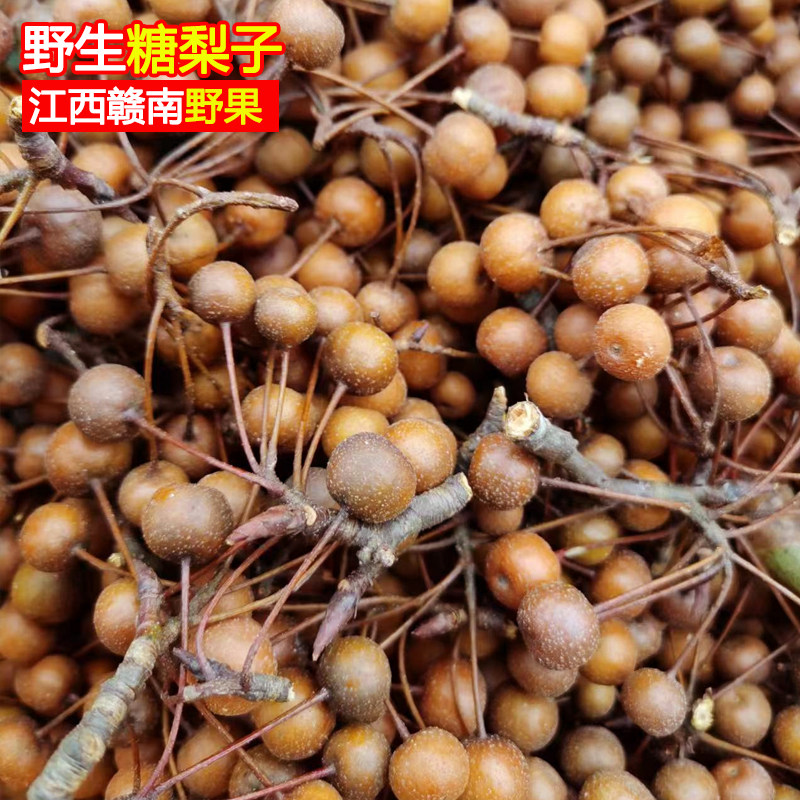 新鲜野生小沙梨豆梨棠梨野梨糖梨子山梨鸟梨赤梨克泡水煮水泡茶酒