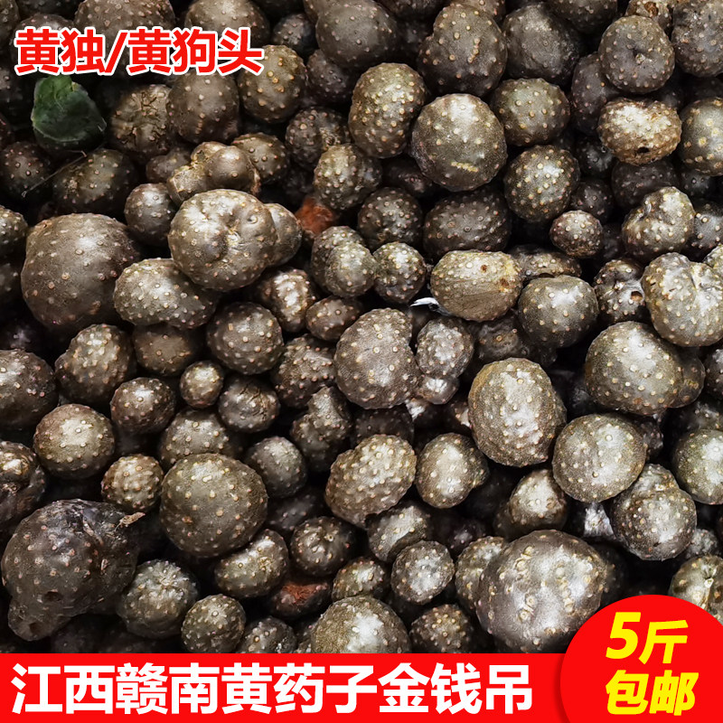 新鲜黄果根部香芋土芋