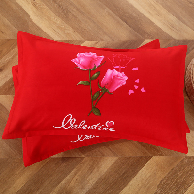 枕芯套枕头套加厚水洗棉